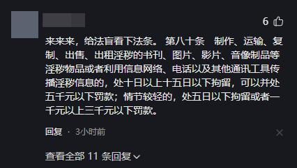 敦化60岁女子过安检，背包里塞满36张光盘，民警当场愣住 音像制品出租这行我熟